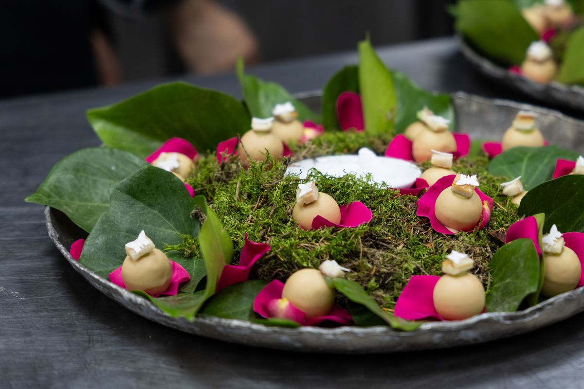 Plato de musgo, hojas y pétalos preparado en cocina antes del pase