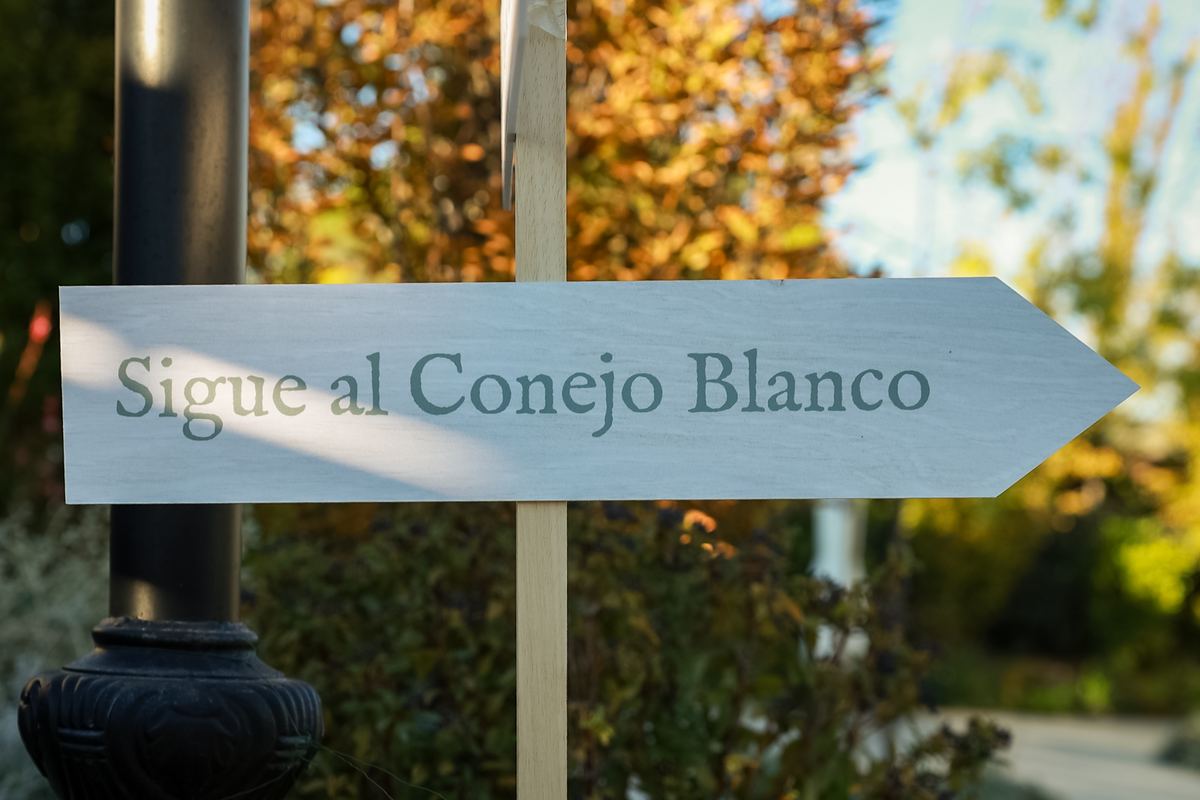 Cartel de dirección «Sigue al Conejo Blanco»